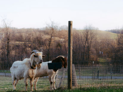 Immersed in Energy: Spring Break in Appalachia