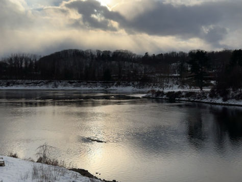 THIS WEEK IN SUSTAINABILITY: February 9th to February 15th, 2026