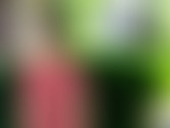 Student Spotlight: Kellen Appleton '20