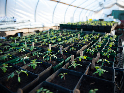 THIS WEEK IN SUSTAINABILITY: May 19th - May 25th, 2025