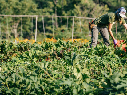THIS EARTH WEEK IN SUSTAINABILITY: April 28th - May 4th, 2025