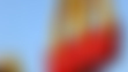 700.000 US-Dollar Strafe: McDonald’s kapituliert vor islamischen Ernährungsvorschriften