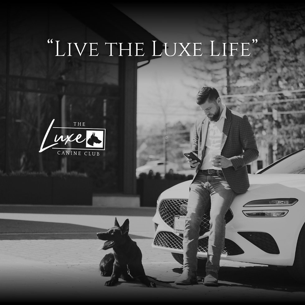 Luxe CEO Matthew Slack