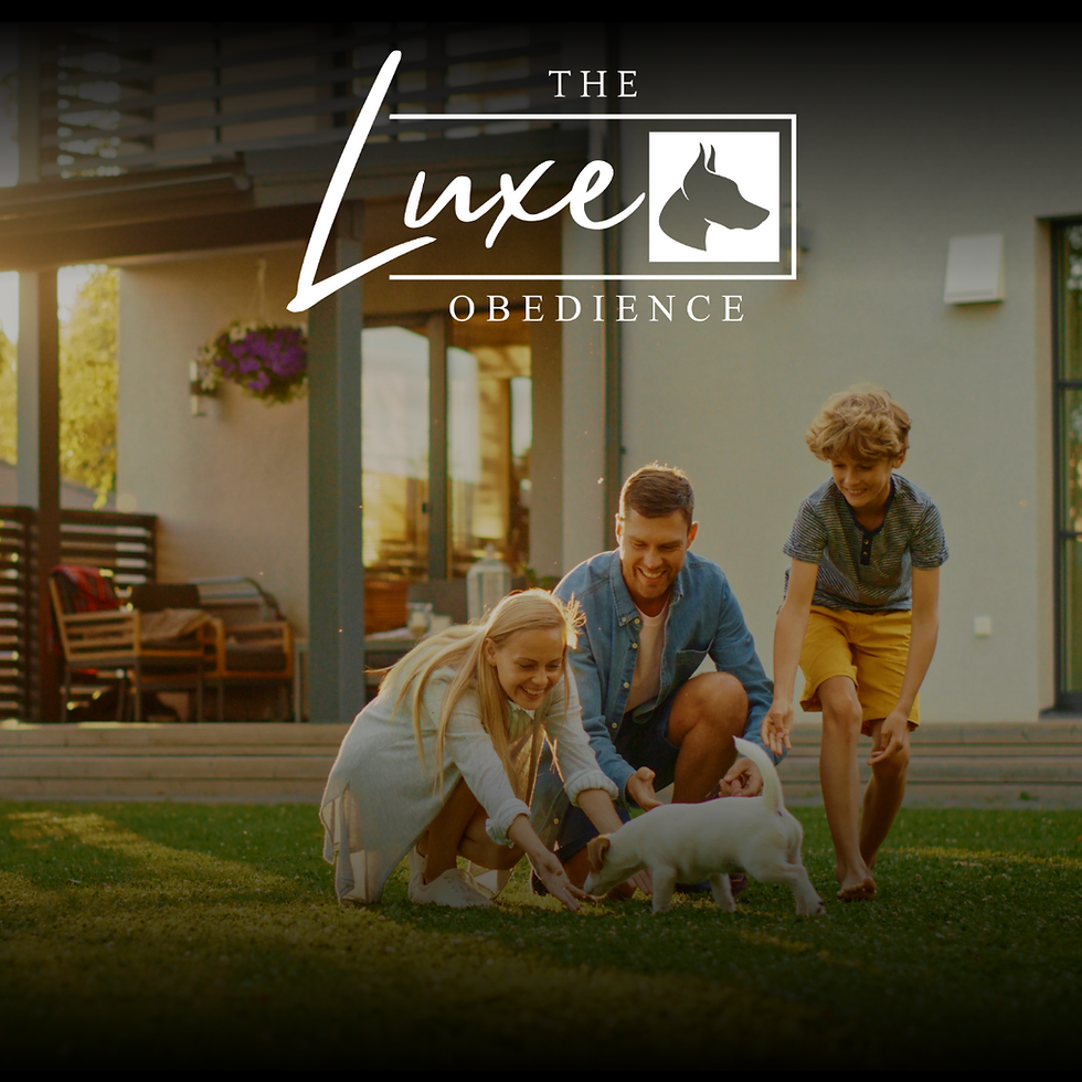 The Luxe Family