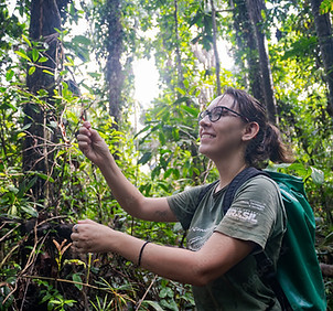 Student learning.jpeg