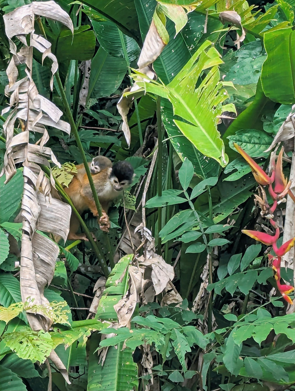 PXL_20250606_182726423_edited