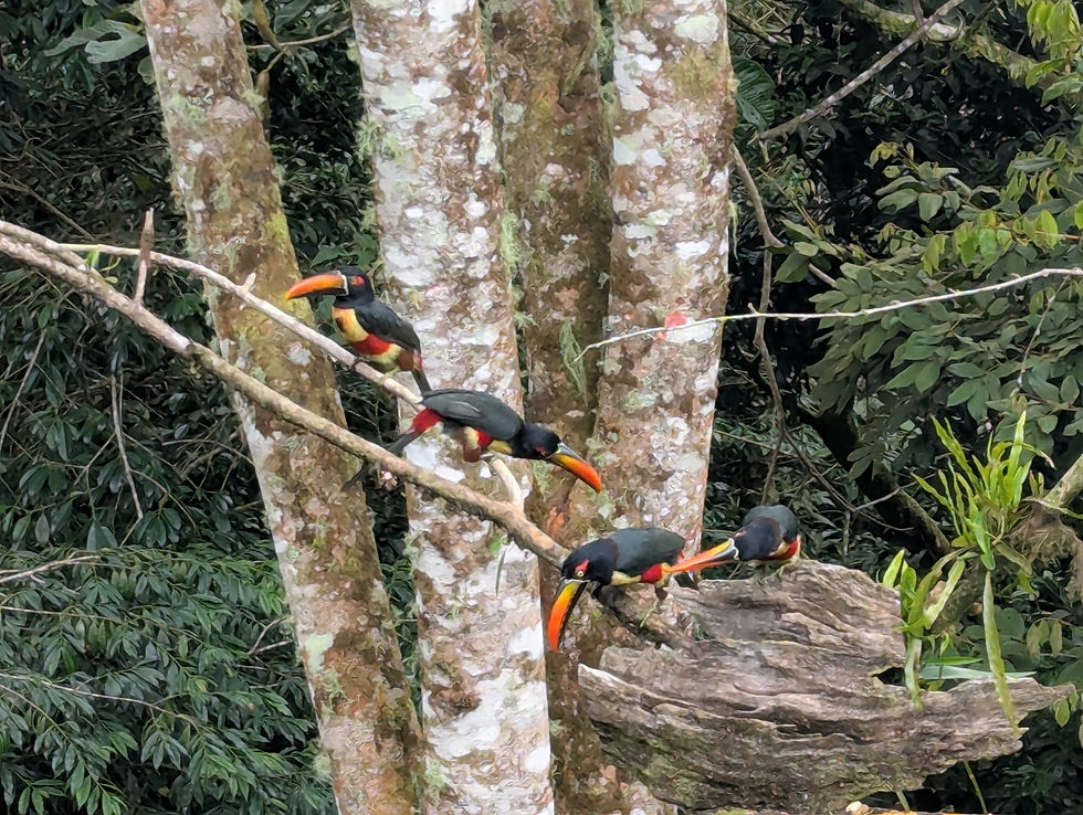 PXL_20250905_204447479