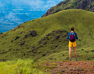 AdobeStock_559541354 (1).jpeg