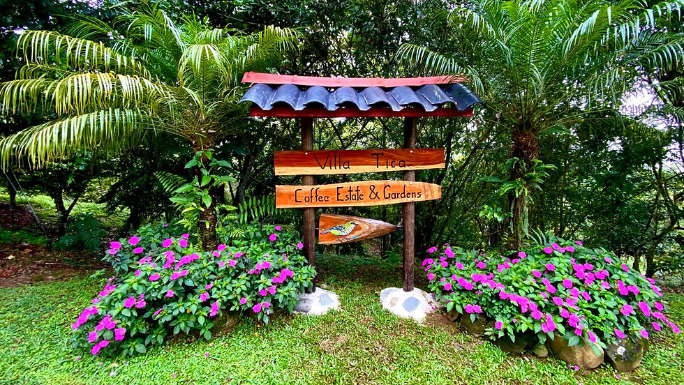 475111058_1188585663271453_926521737445072891_n