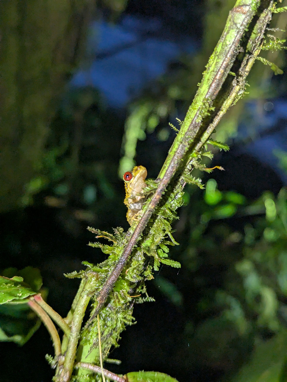 PXL_20250618_000515403