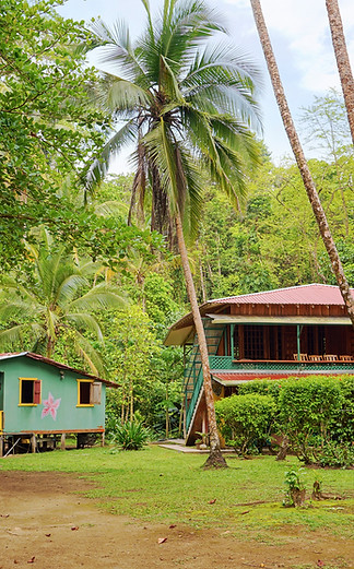 Houses in local community
