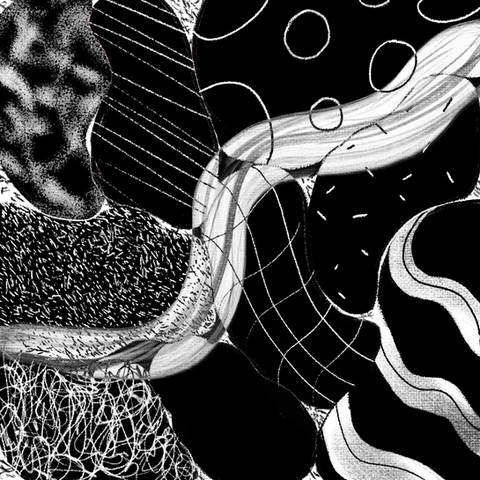 shir - abstract BW.png