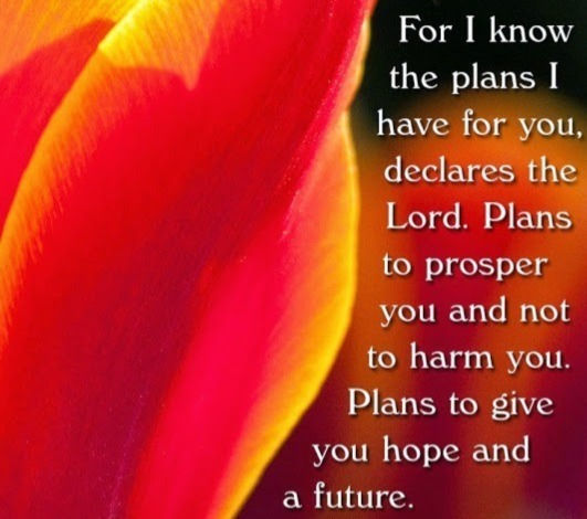 Align your career with your life’s purpose.