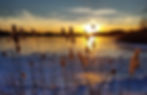 Sunset over a lake with snow and phragmities.
