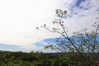 Aguadilla Puerto Rico SEO SEM Enigma Digital