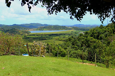 Cidra Puerto Rico Camping - Meta ads Enigma Digital Marketing Bilingue_edited_edited.jpg