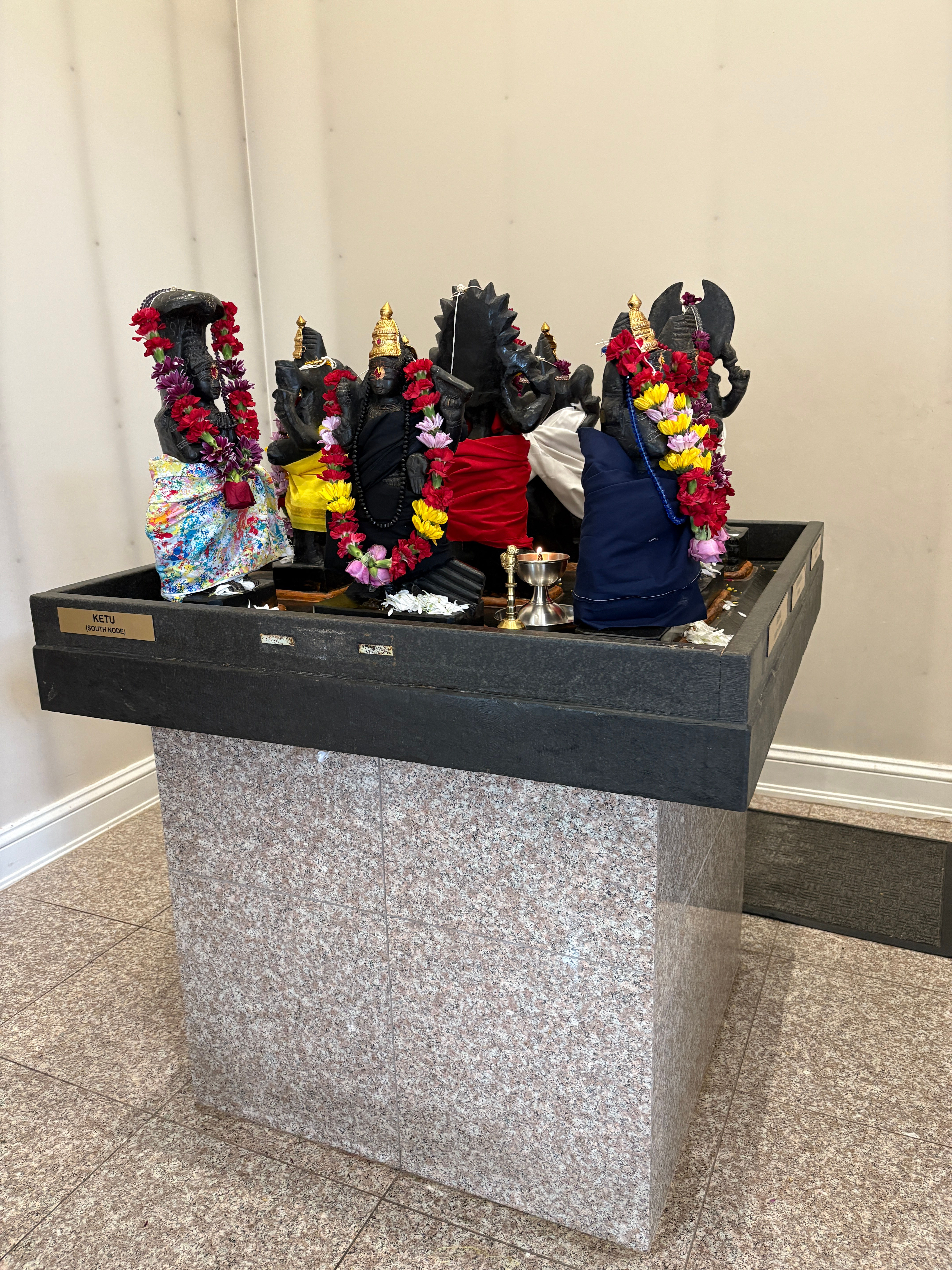 Navagraha Abhishekam / Puja on Sundays /1MO/3MO/6MO/12MO