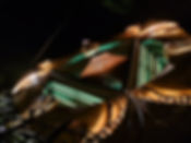 20230626_015745.jpg