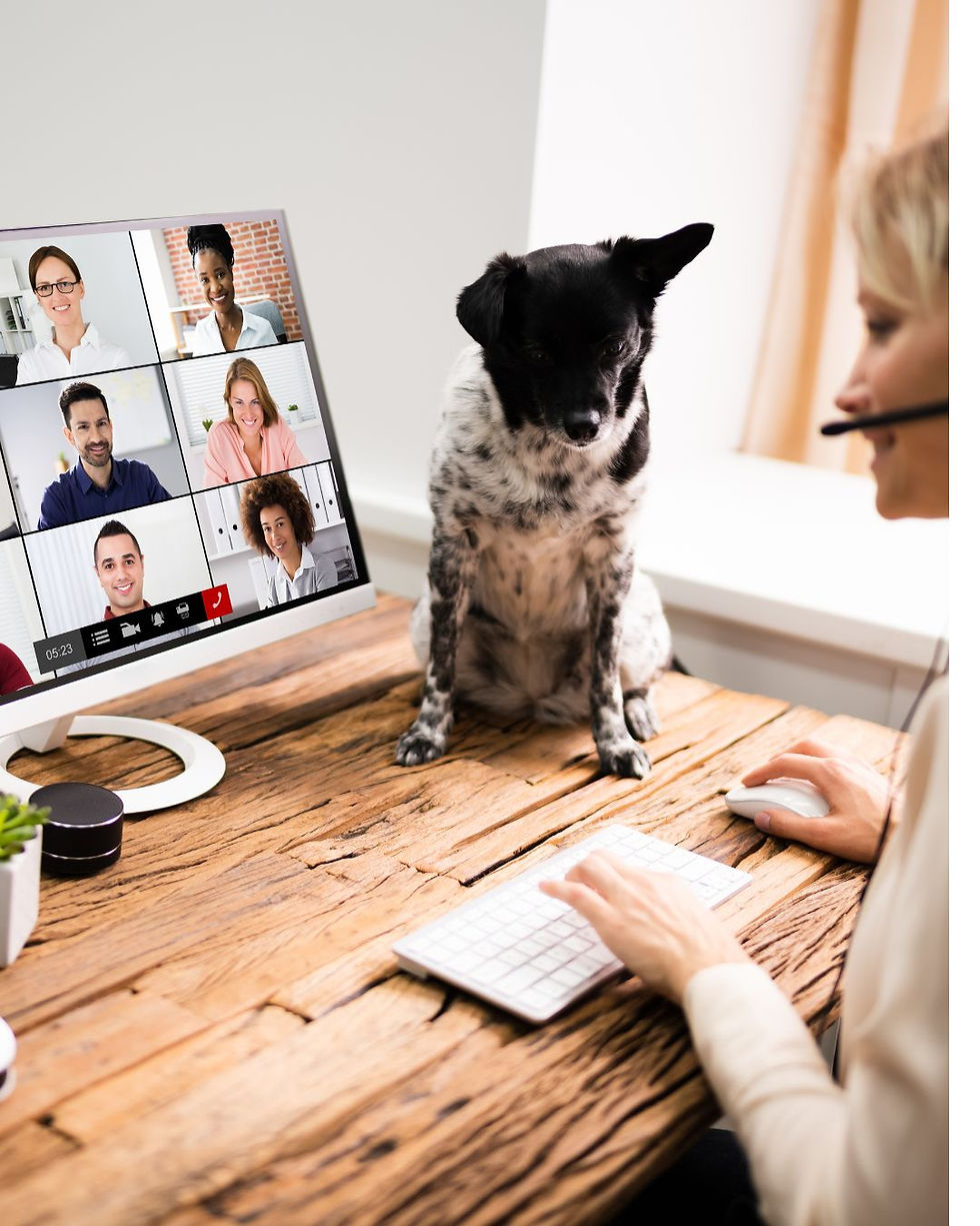 Flexible Work. Auckland, Wellington, Christchurch. Woman on video meeting with dog.