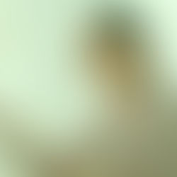 7 Reasons To Be Thankful For Your Business