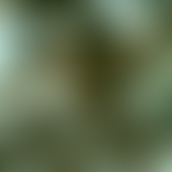 7 Ways You Can Overcome Creativity Blocks