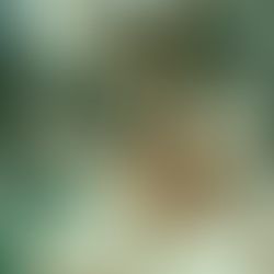 The Value of Goal Setting For Your Business