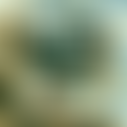 5 Ways Social Media Affects Getting A Business Loan