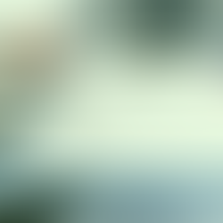 5 Reasons Your Business Loan Application May Have Been Rejected