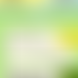 Four Key Areas Where Underwriting Criteria Is Changing With Lenders