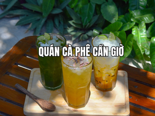 Quán cà phê Cần Giờ Mangrove Hotel: Điểm dừng chân nghỉ dưỡng giữa thiên nhiên xanh mát
