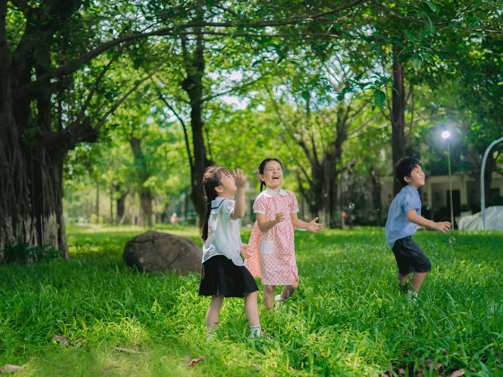 Không gian sống thoáng đãng với ánh sáng tự nhiên và cây xanh