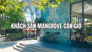 Khách sạn Mangrove Cần Giờ - Điểm dừng chân lý tưởng cho chuyến du lịch và công tác