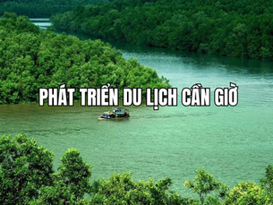 Phát triển du lịch Cần Giờ: Tiềm năng, hạ tầng mới và trải nghiệm nghỉ dưỡng nổi bật