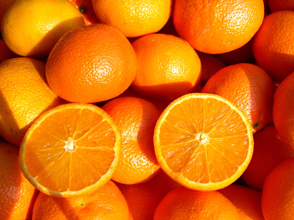 Các loại trái cây họ cam quýt giàu vitamin C và chất chống oxy hóa.