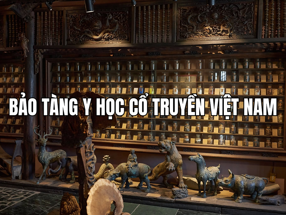 Khám phá Bảo tàng Y học cổ truyền Việt Nam: Nơi lưu giữ tinh hoa bản sắc y học dân tộc
