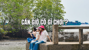 Cần Giờ có gì chơi? Top 5+ trải nghiệm thú vị không thể bỏ lỡ tại Cần Giờ
