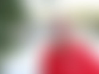 Perfekte Viertelstunde ebnet den Weg zum Erfolg –Ligateam gewinnt auch beim TuS 97 BI/Jöllenbeck
