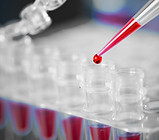 Blood Sample