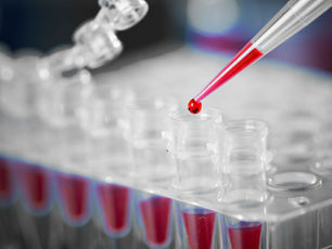 World Sickle Cell Disease Day