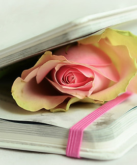 rose-764267_1920.jpg