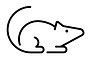 mouse-icon.jpg