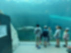 235941114_543543143394307_5273324970615669075_n.jpga