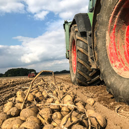 Landwirtschaft Varendorf Hof Redell