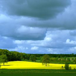 Landwirtschaft Varendorf Hof Redell