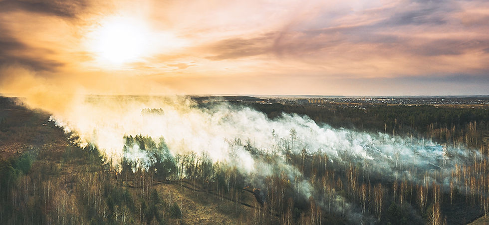 Aerial view of dry forest during a spring wildfire, producing smoke that affects air quality in nearby homes.