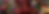 FYC-banner