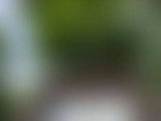 令和6年7月 ヨガと坐禅と写経の会