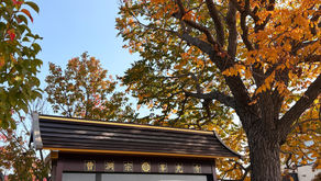 10月　ヨガと坐禅と写経の会ご案内