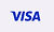 visa card
