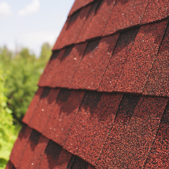 Roof Shingles 